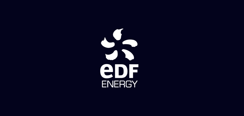 edf vr experience logo