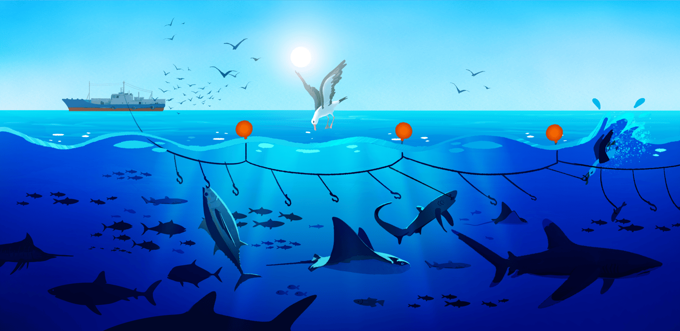 SharkTrust_SC18-19_300dpi