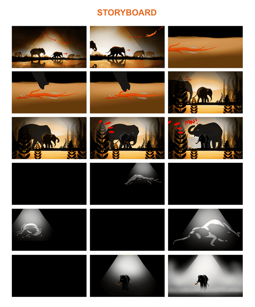 world animal protection brand storytelling storyboard