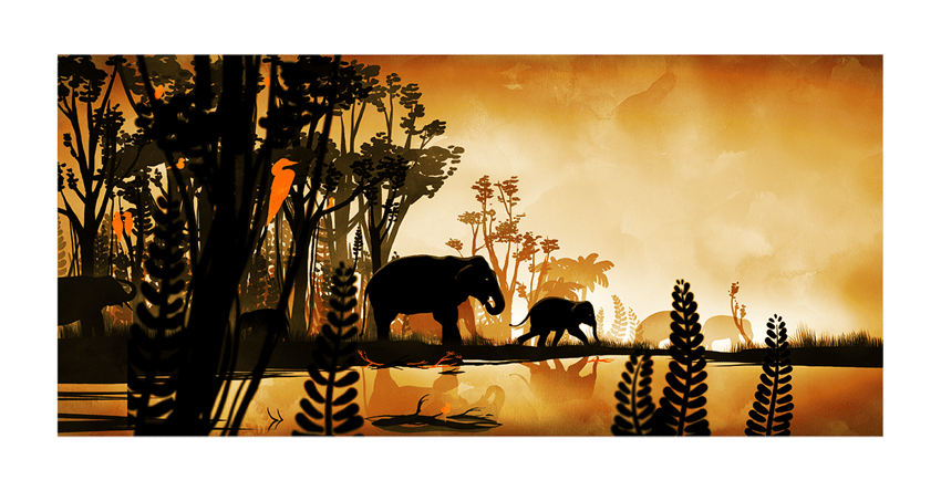 world animal protection brand storytelling image