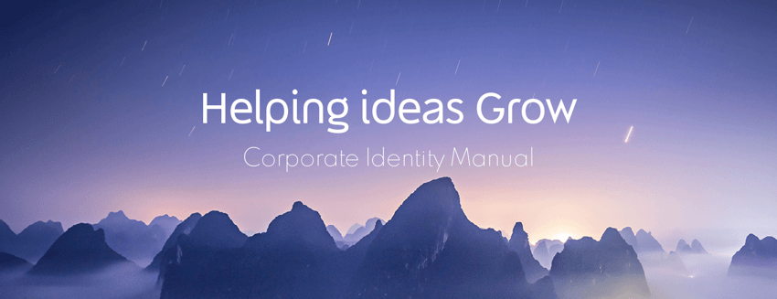 FI group rebrand brand guidelines