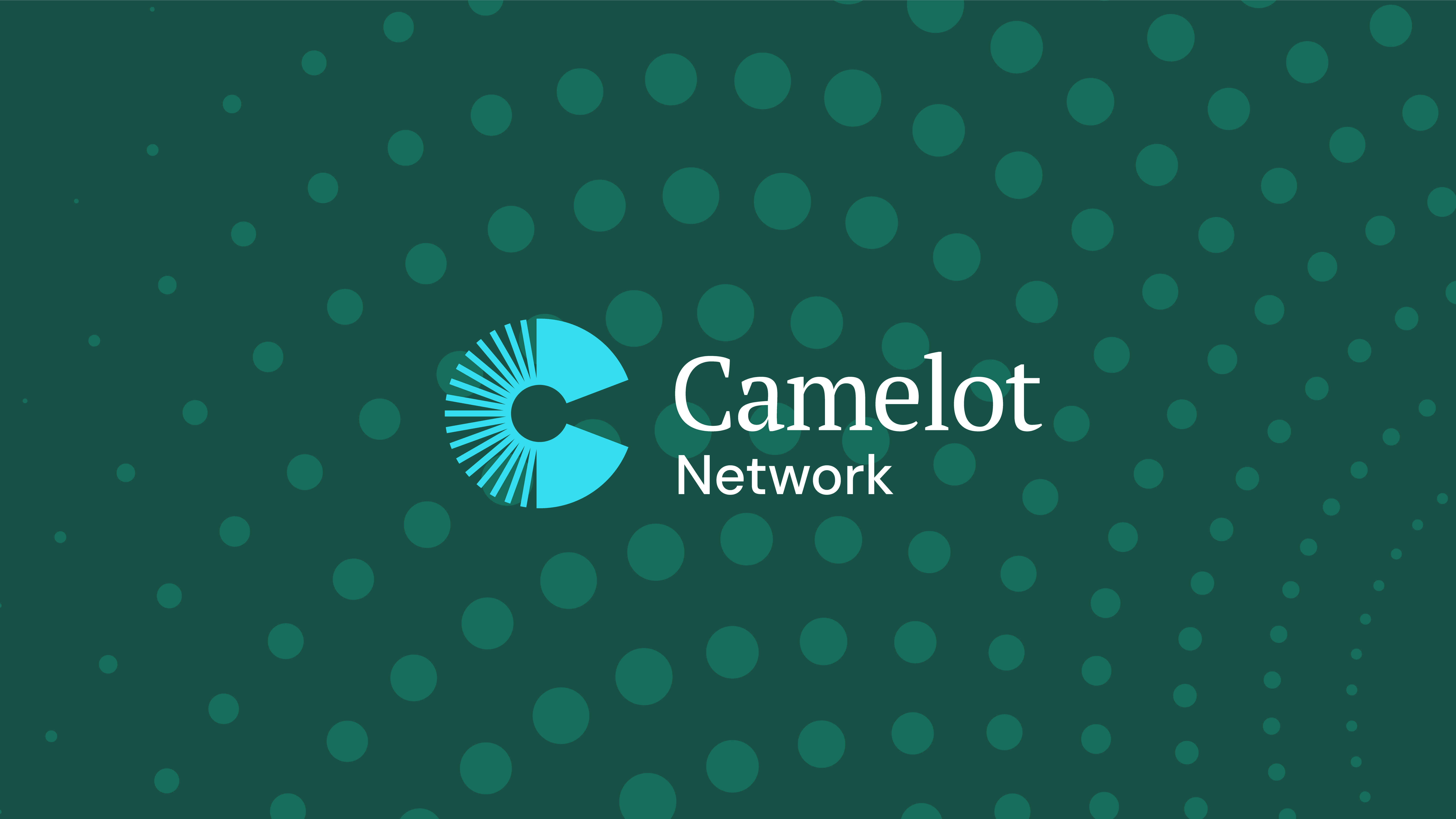 Network_logo_Texture@4x