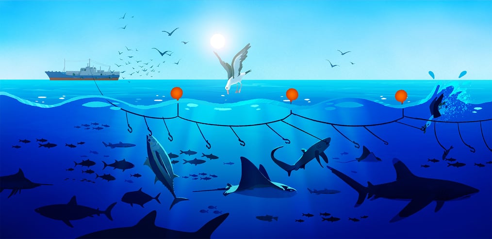SharkTrust_SC18-19_300dpi