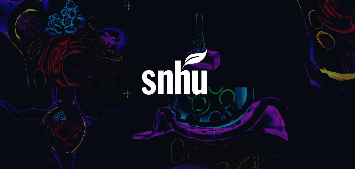 SNHU Thumbnail