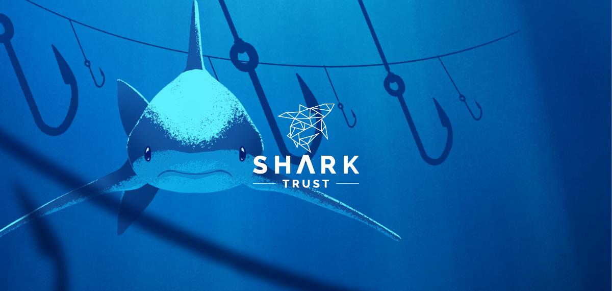 THE SHARK TRUST | BRAND