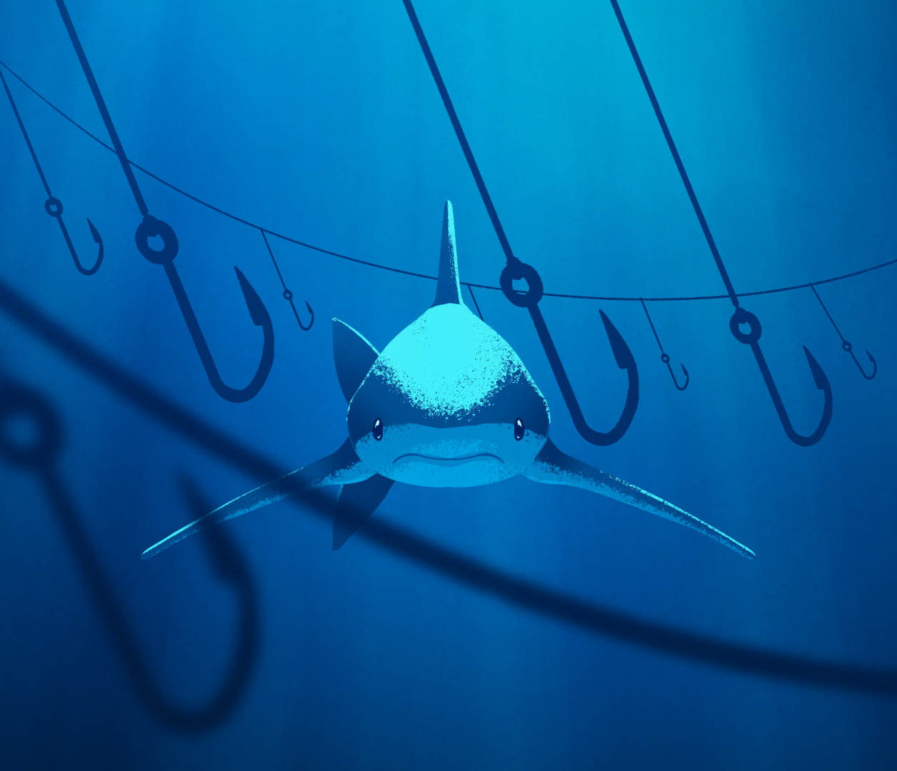 Shark trust