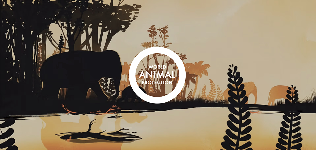 WORLD ANIMAL PROTECTION | BRAND